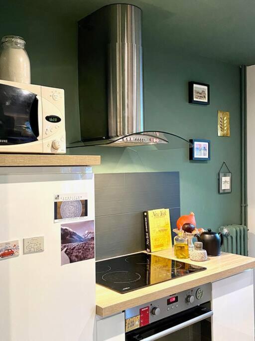 Appartement Chaleureux Entre Zola Et Proce. Нант Екстер'єр фото